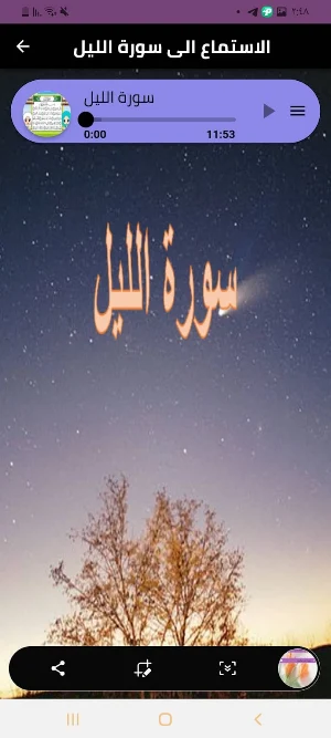 سورة الليل Screenshot 3