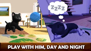Daily Kitten : virtual cat pet Screenshot 3