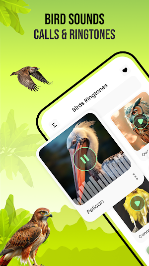 Birds Sounds Screenshot 0