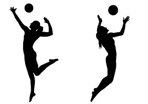 HV Volleyball Screenshot 1