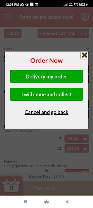 Star Kebab Tenterden Screenshot 0