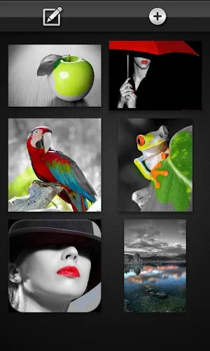 Color Splash FX Unlocker Screenshot 1