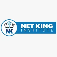 Netking Institute