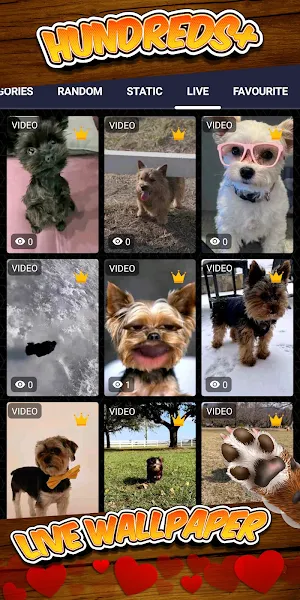 yorkie wallpaper Screenshot 2