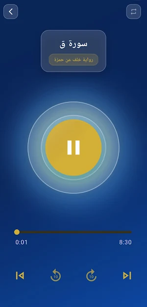 ترتيل القراءات | مصطفى شاهين Screenshot 3