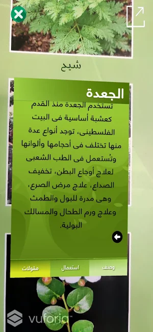 نباتات فلسطين screenshot 4