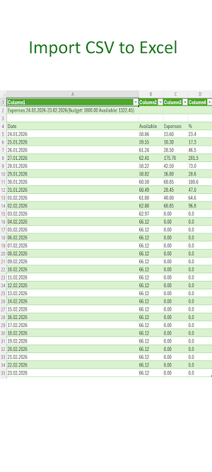 Monthly Expense Screenshot 3