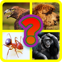 Guess and Learn Animals Quiz