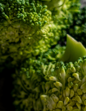 Broccoli Explanation Screenshot 1