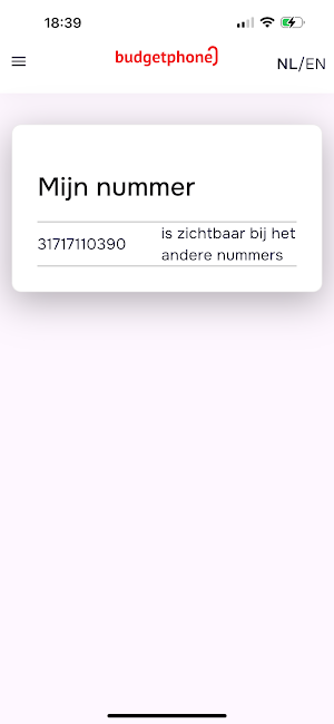 Budgetphone Screenshot 2