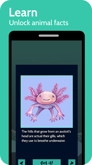 Animal Memory Match - Brain Ga Screenshot 3
