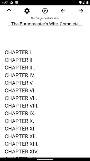 Book, The Burgomaster's Wife,  Screenshot 0