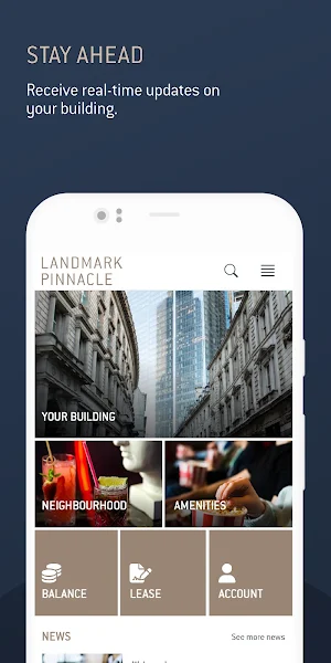 Landmark Pinnacle Screenshot 0