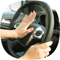 Car Horn Sounds