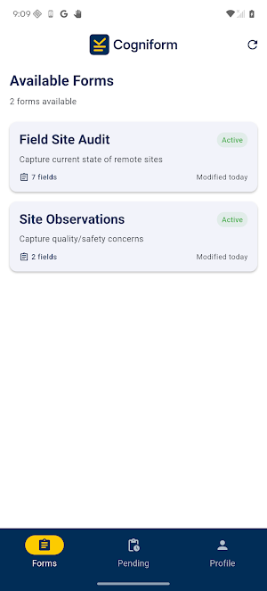 Cogniform Screenshot 1