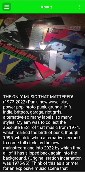 THE ONLY MUSIC THAT MATTERED! Screenshot 3
