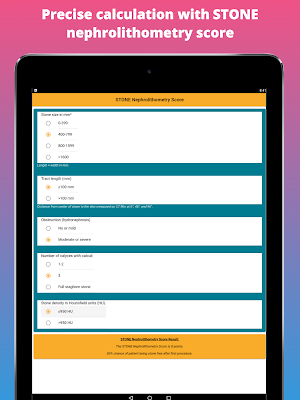 Kidney Stone Scoring Screenshot 3