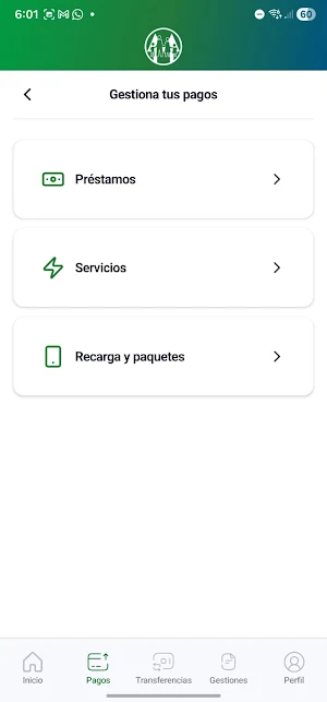 COOPSAFA Digital Screenshot 3