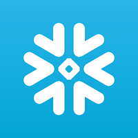 Snowflake CoWork