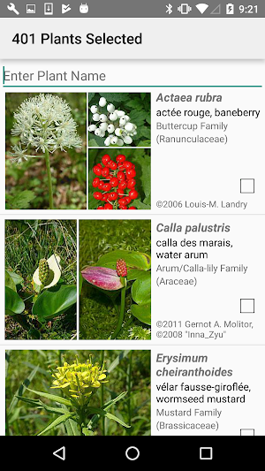 Québec Wildflowers Screenshot 2