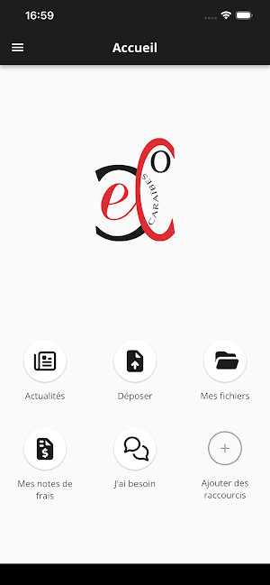 CAREXCO Screenshot 1