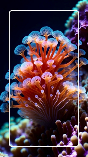 Coral Wallpaper HD 4K Screenshot 1