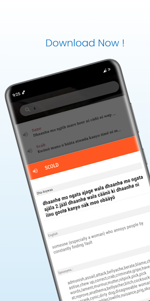 DhaAnywaa Dictionary ( Dööti ) screenshot 5