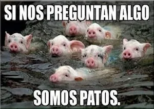 Humor y Memes para Whatsapp en Español Screenshot 1
