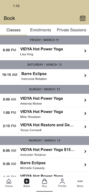 VIDYA Yoga and Fitness Screenshot 1