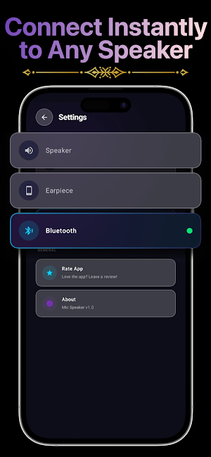 LiveMic: Bluetooth Speaker Mic Screenshot 2