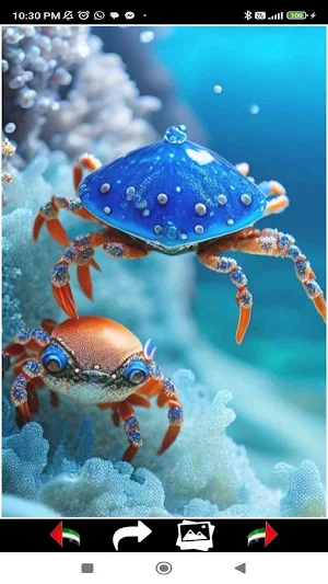 Sea Life Wallpapers Screenshot 3