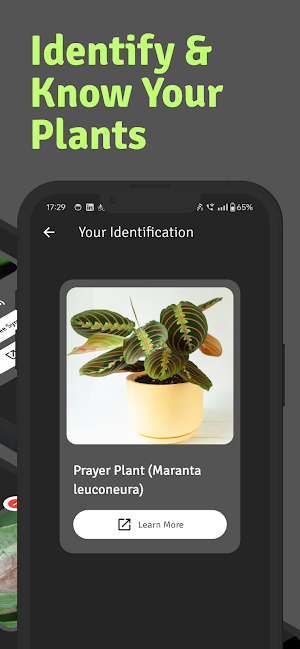 Agent Crop: AI for Agriculture Screenshot 2