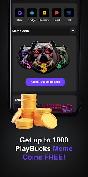 PlayWall Wallet Screenshot 1