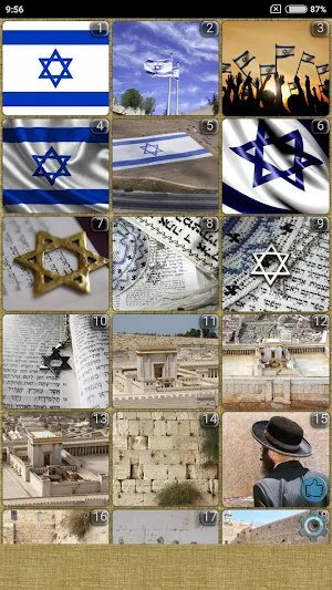 Israel WVGA Wallpaper Screenshot 0