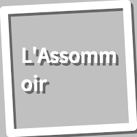Book, L'Assommoir