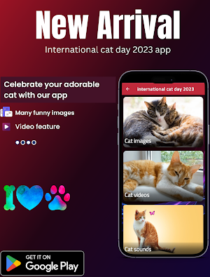 international cat day 2023 Screenshot 0