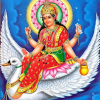 Brahmani Mata Mandir - Sunvala
