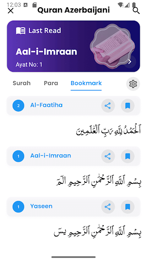 Quran Azerbaijani Screenshot 3