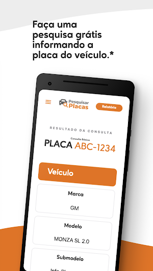 Pesquisar Placas Screenshot 2