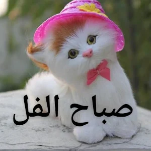 صور صباح الخير Screenshot 2