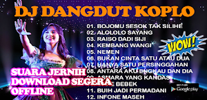 Dj Dangdut Remix Koplo Offline Screenshot 0