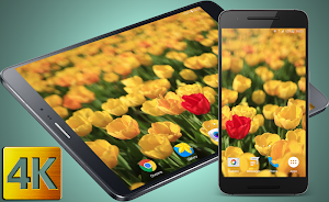 Tulips 4K Live Wallpaper Screenshot 0