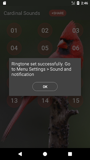 Cardinal bird sounds Screenshot 3