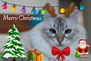 Christmas Photo Stickers 🎄 Screenshot 1