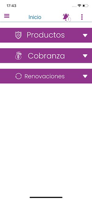 Conexión seguros Screenshot 2