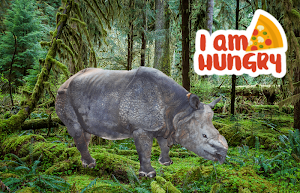 Wild Animal Photo Frames Screenshot 2