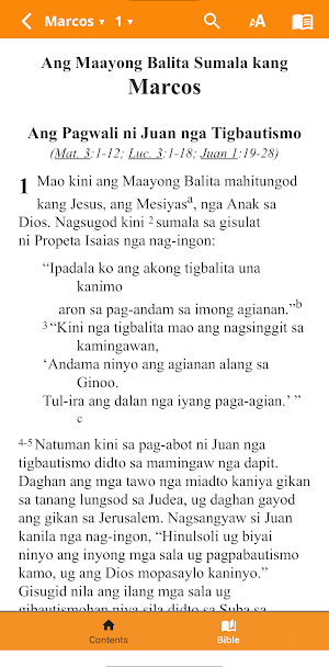 Ang Pulong sa Dios Screenshot 1
