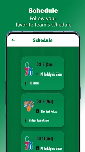 Boston Celtics Basketball Screenshot 3