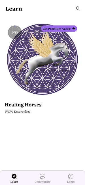 Horses As Healers Screenshot 0