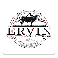High Desert Horse Sales